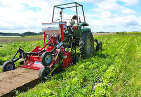 euroagrimat massano enfouisseur