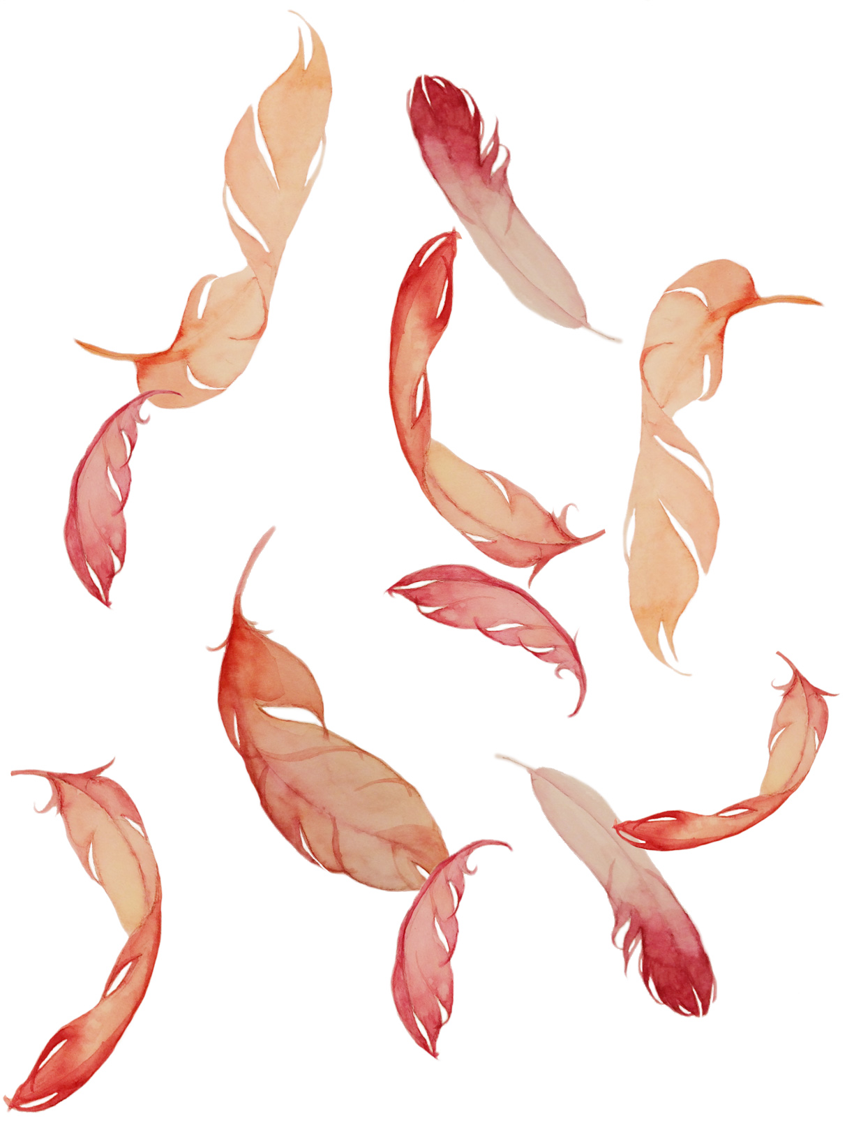 Red feathers