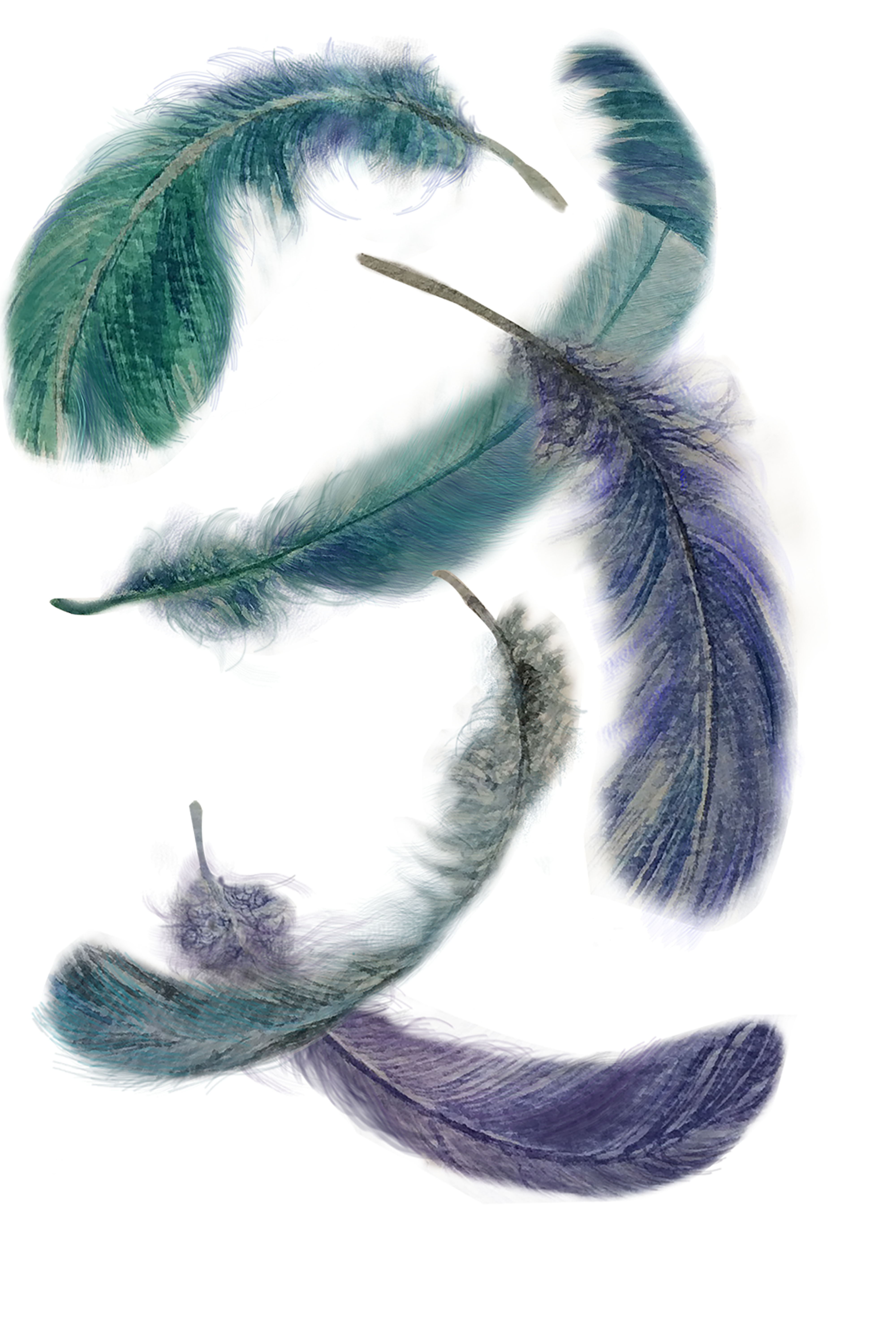 Blue feathers
