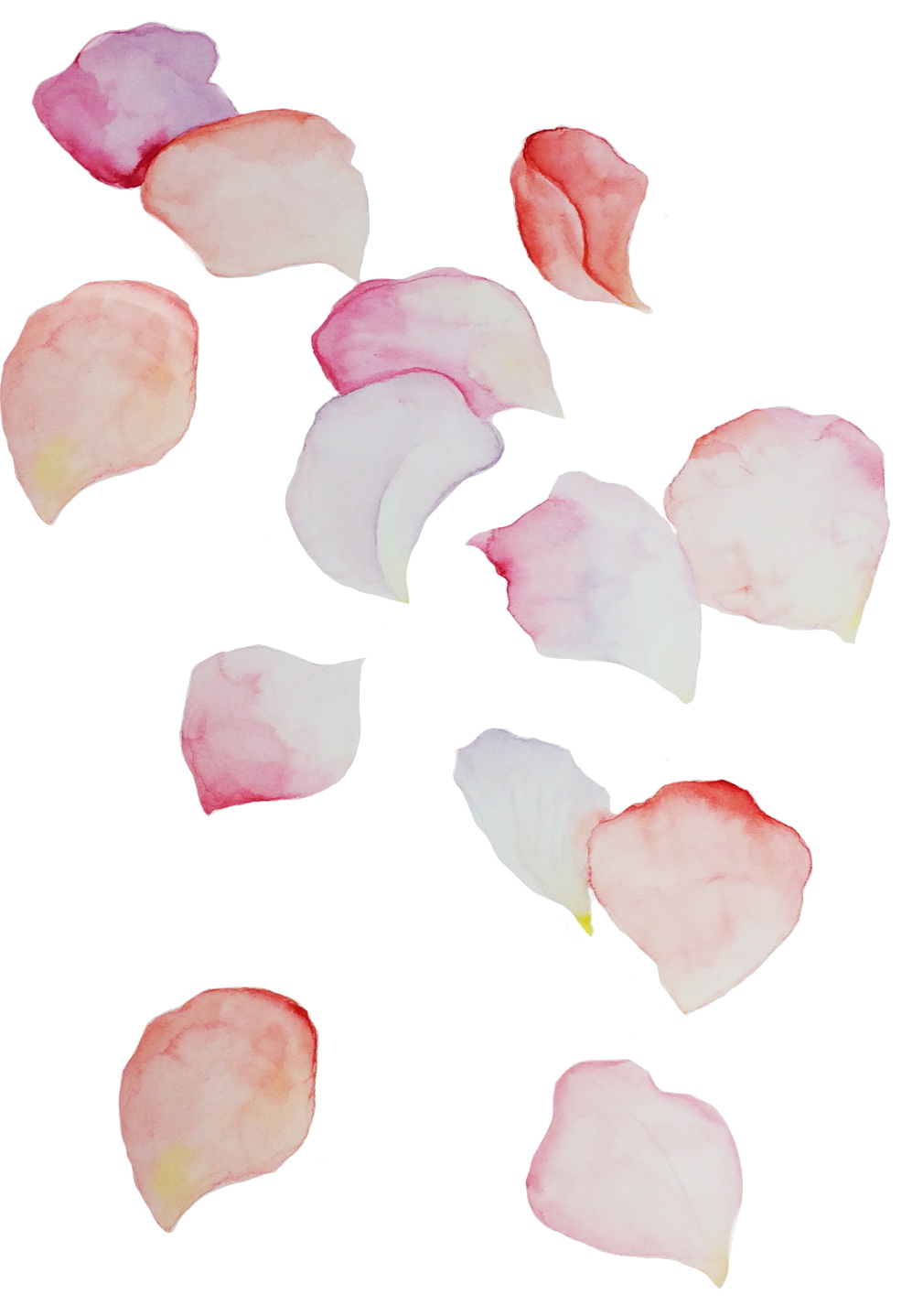 Petals