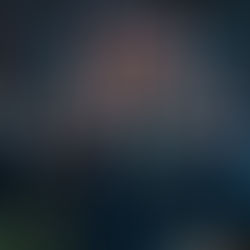 The Witches of Tea & Tarot in Clinton, CT, a charming 300 year old colonial, shelves of loose leaf teas, and warm lighting inviting guests to gather.