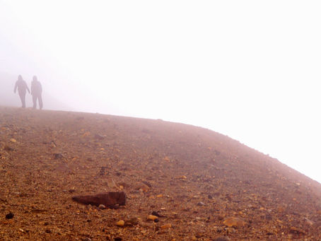 New Zealand - 5 Things To Know Before You Go