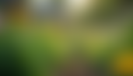 Environmental Initiatives That Drive Local Progress