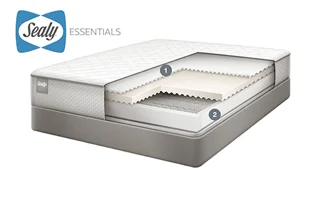 sealy-1-1B.webp