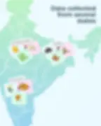 Demographic 2.webp