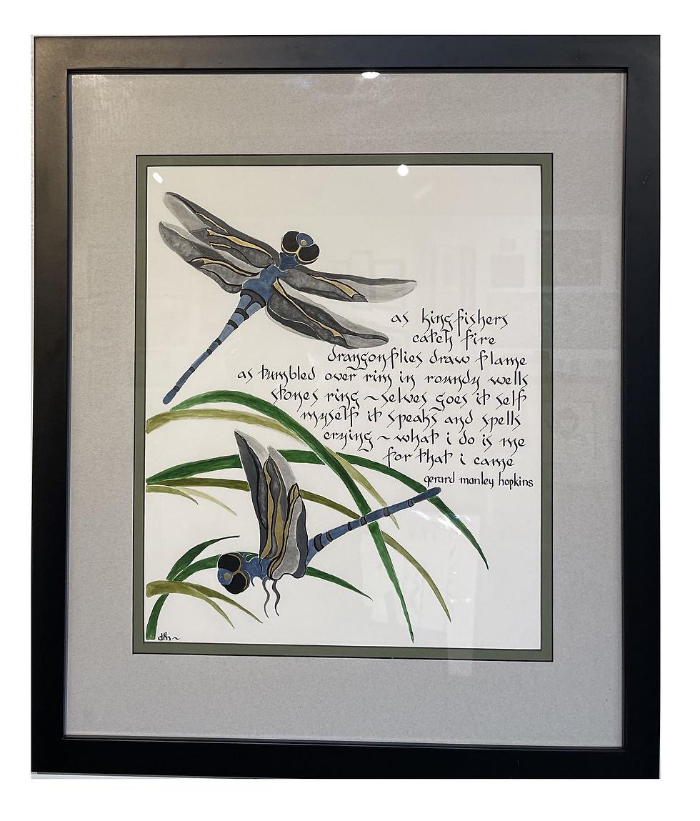Thumbnail: Dragonflies