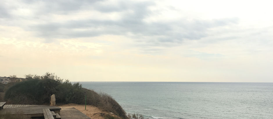 מבט אל האופק - שמורת חוף השרון