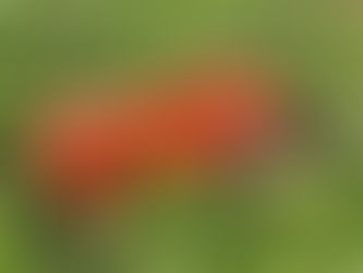 Farm Update