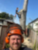 tree surgery team in garden