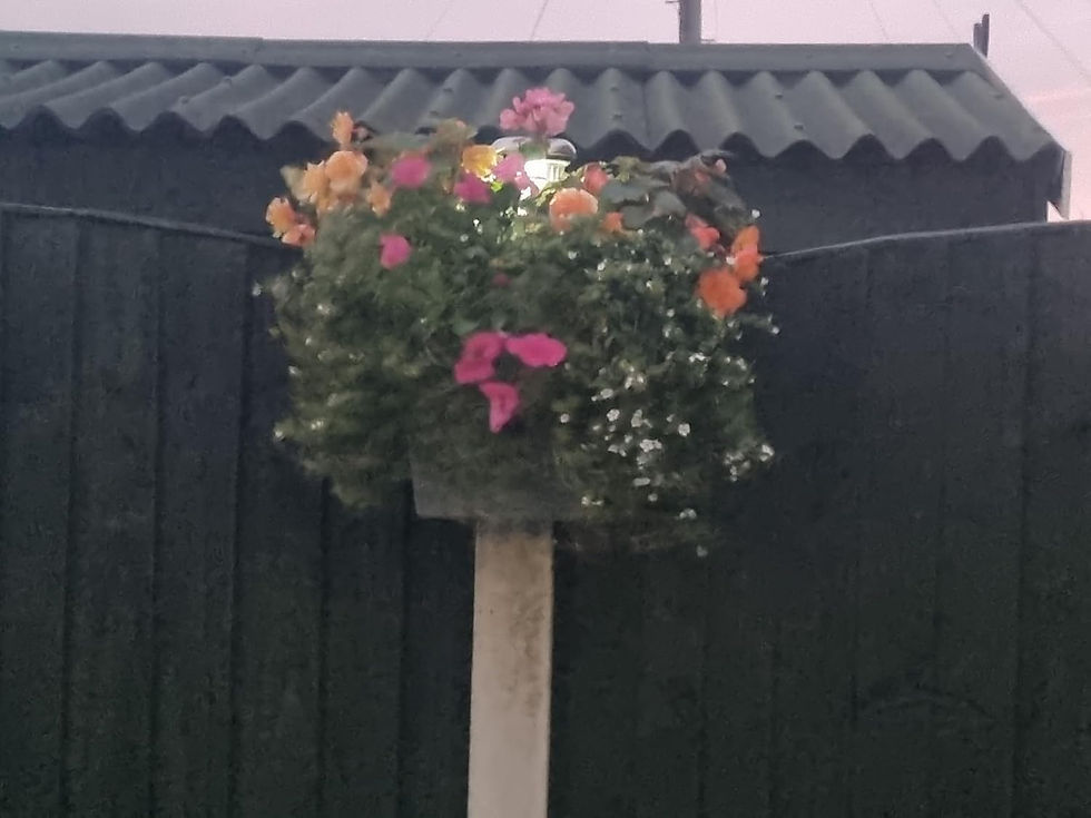 Thumbnail: eco friendly bird box