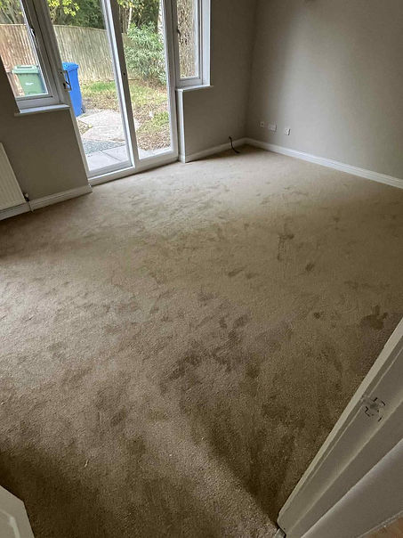 carpet installation