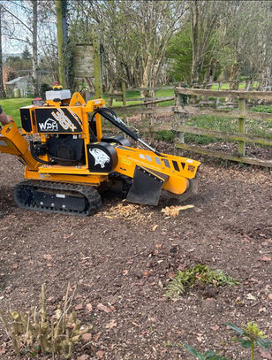 tree surgery equipment