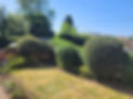 hedge cutting service