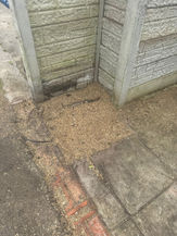 ground after removed tree