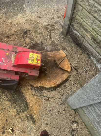 stump grinding solutions 