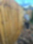 garden maintenance