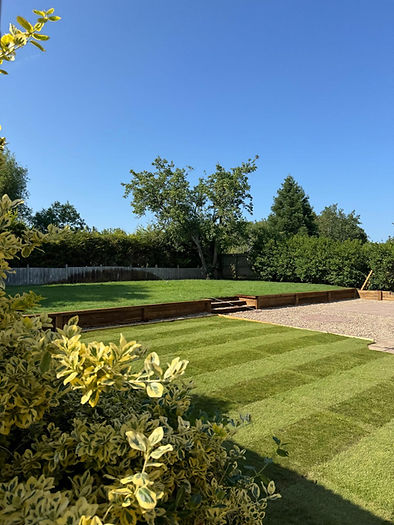 Landscaped garden with steps up to a lawn