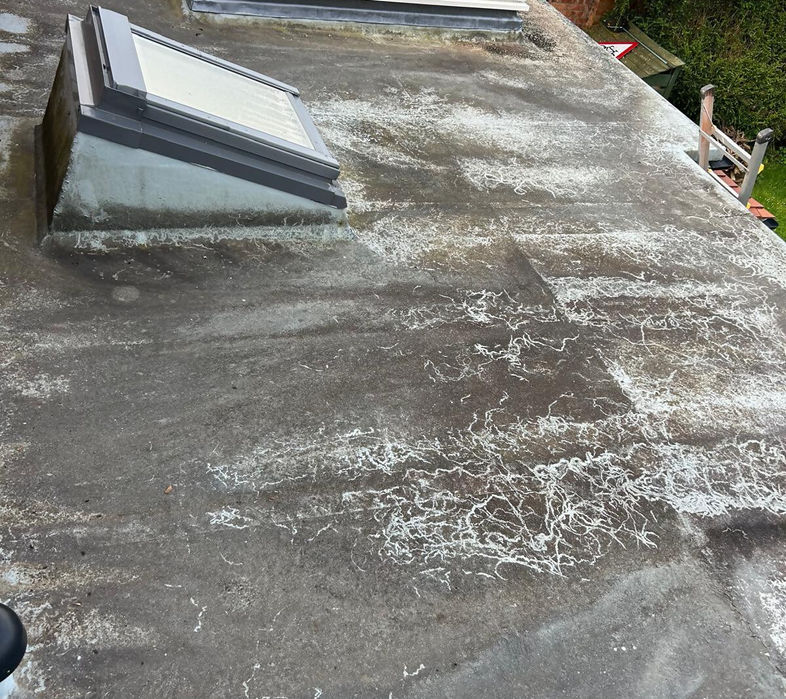 roof before works
