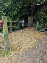 site clearance