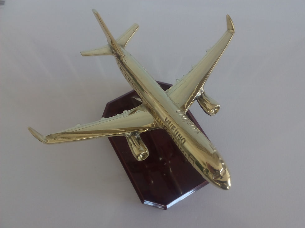 Miniatura: Airbus A 320