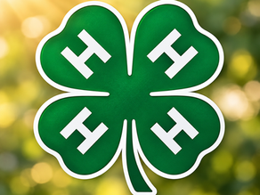 The True Value of 4-H