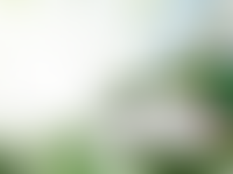 Ногоон зээлээр эрчим хүчний хэмнэлттэй шийдлээ авч болохоор боллоо