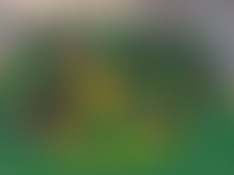 Топологи ХХК-ийн 20 жилийн ой тохиож байна