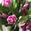 Thumbnail: Spring Flower Subscription - monthly
