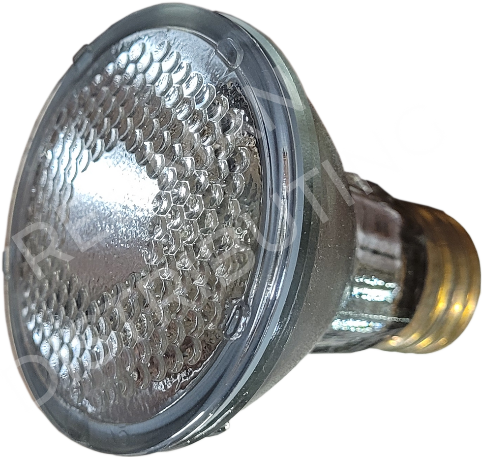 HALOGEN PAR20 BULB