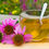 Thumbnail: Echinacea Root Tea