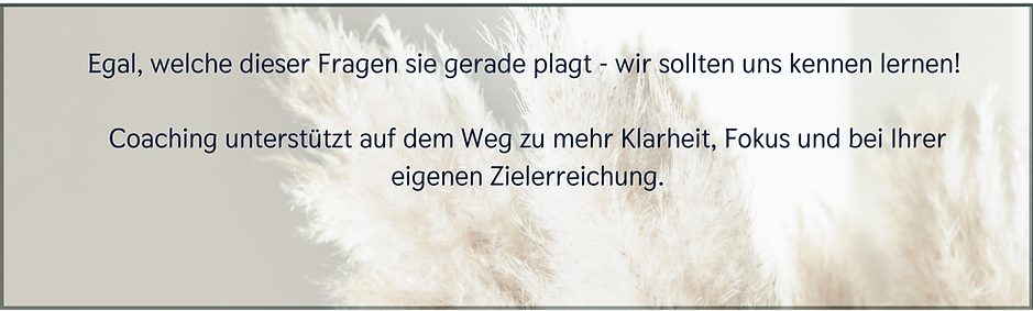 Bild 44 (1)_edited.png