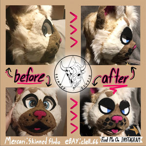 Cat Mini Partial Refurb