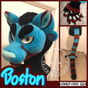 Boston Partial