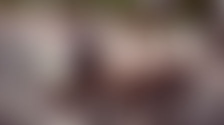 Hochzeitsfotograf gesucht!