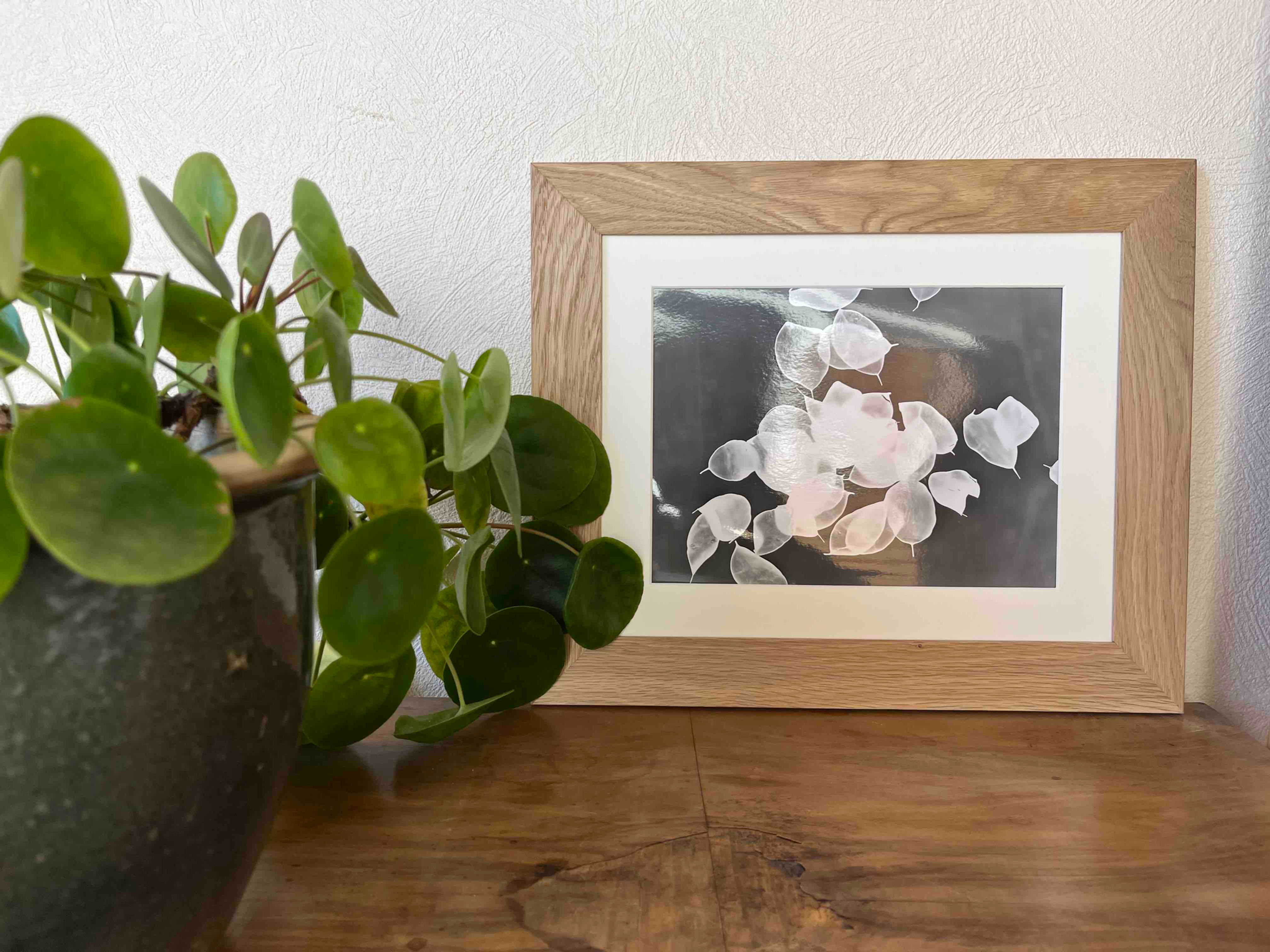 Paisible 17,8x24cm, avec cadre