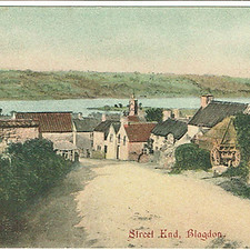 rhodyate early tinted_