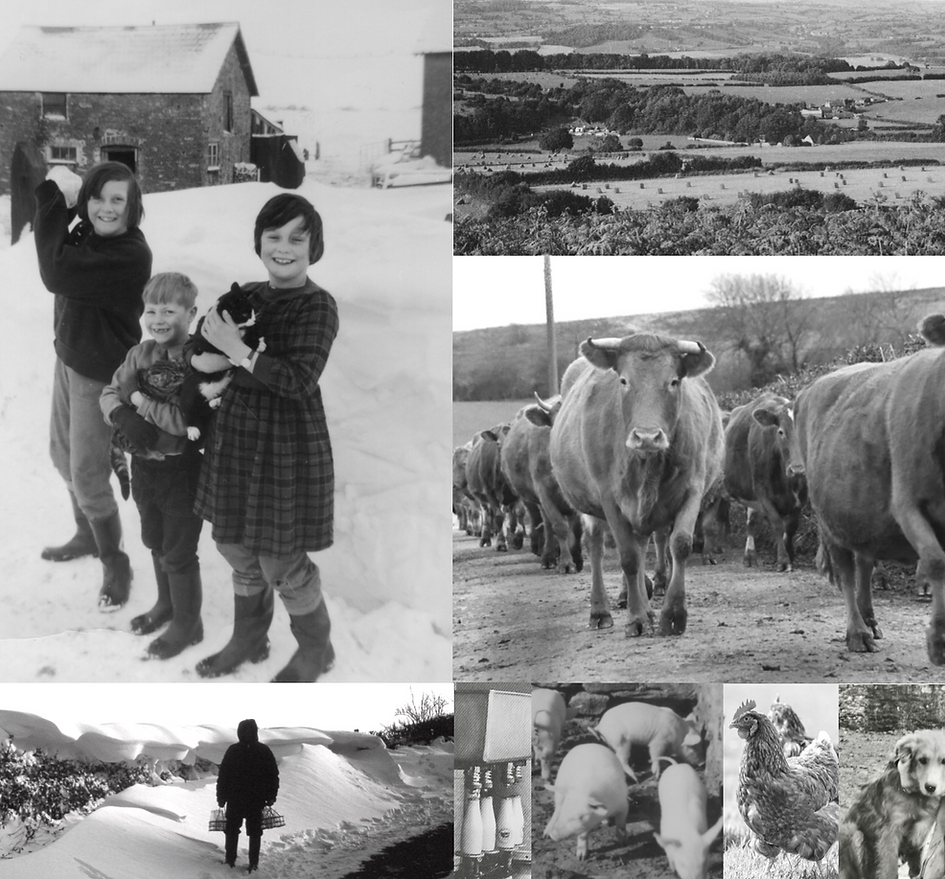 Weavers family collage B 2.png