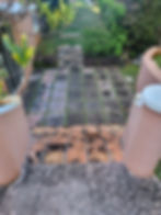 20230227_090909.jpg