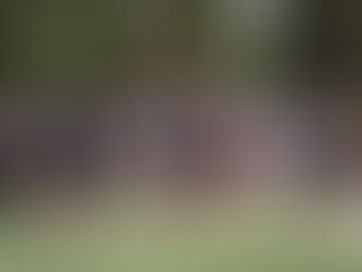 Yeni Sezon Öncesi Beşiktaş