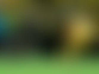 Beşiktaş, Deplasmanda Mağlup Oldu!