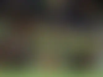 Avrupa Kadınlar Futbol Şampiyonası