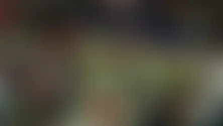 Avrupa Kadınlar Futbol Şampiyonası