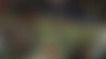 Avrupa Kadınlar Futbol Şampiyonası