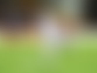 Beşiktaş, Club Brugge Deplasmanından 1 Puanla Döndü!