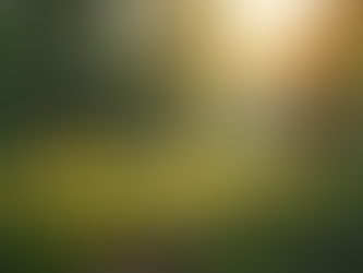 Müşteri Memnuniyetine Odaklanan Kaliteli Sosyal Pazarlama