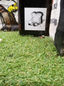 London Art
