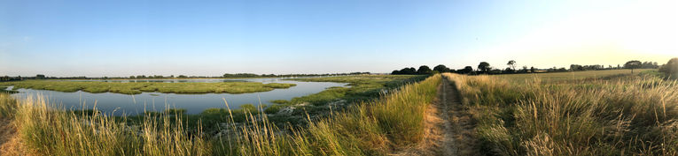 Bit of nature again