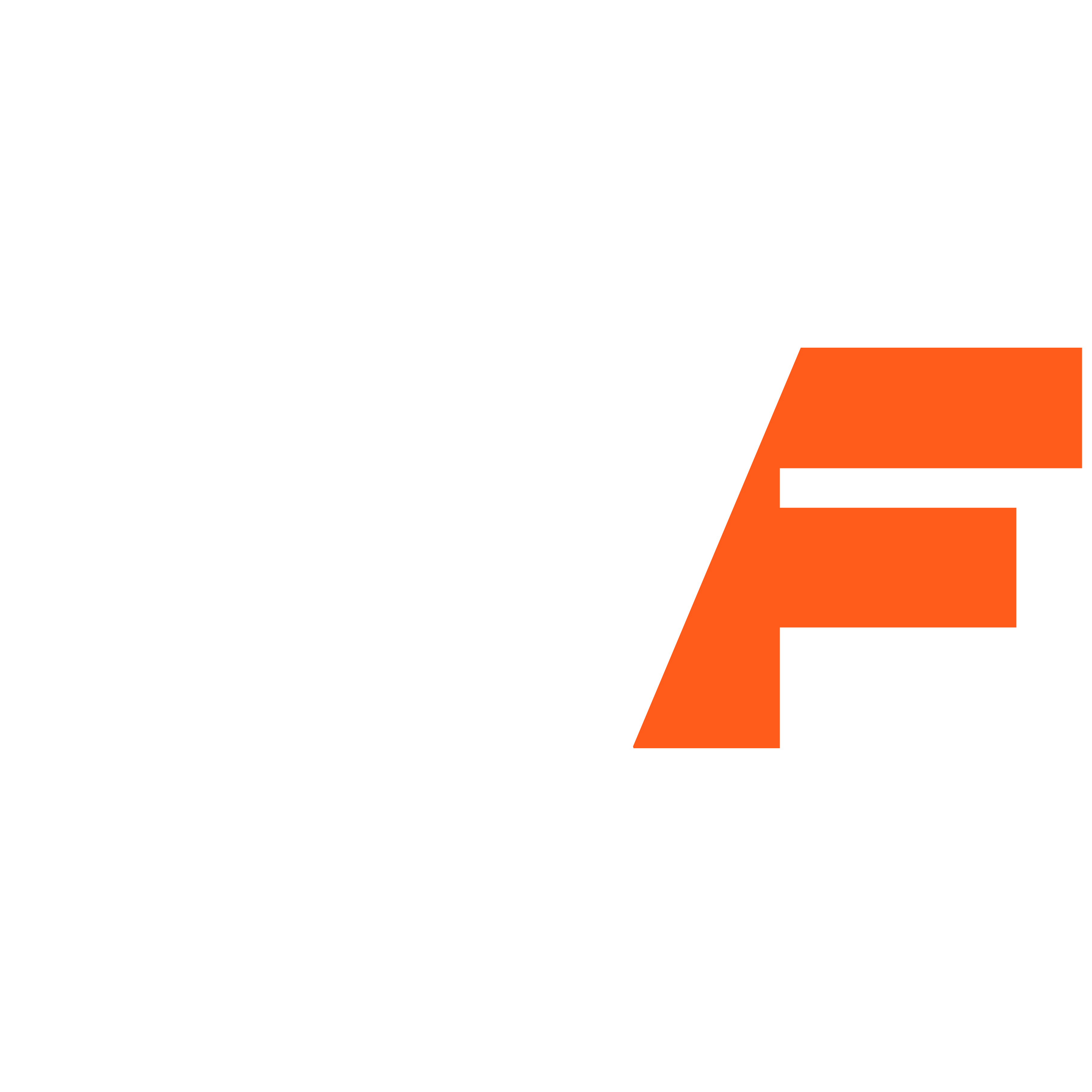 wf logo HD white square.png