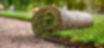 Sod Diana 2021_edited_edited.jpg