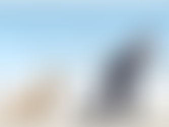 A man pulling a rope attached to a dog while talking on a mobile phone, with labels indicating different types of information transfer such as mechanical, sound, biological, thermal, and electromagnetic signals